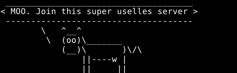 server365.org