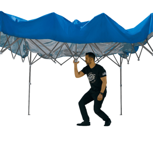 期間限定セール！TIMMY REGISFORD SHELTER 8枚セット 期間限定セール！TIMMY REGISFORD SHELTER 8枚セット 期間限定