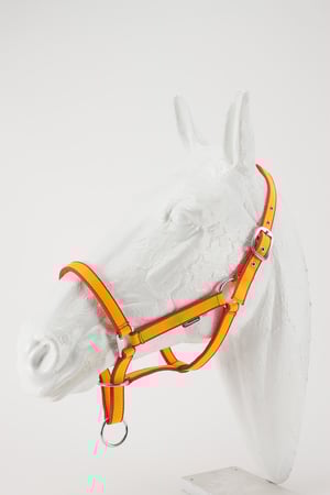 CABEZADA NYLON HERRAJE FUERTE PREMIUM