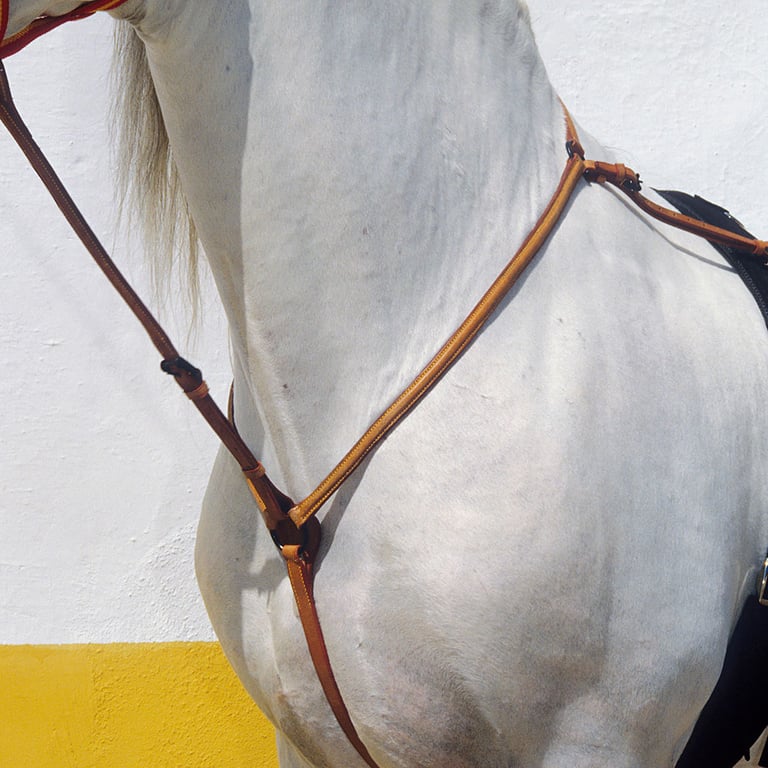 PECHOPETRAL CON GAMARRA VAQUERO KAMELL