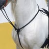 PECHOPETRAL CON TIJERILLAS VAQUERO KAMELL