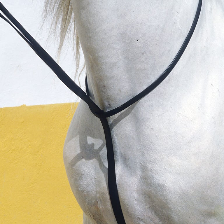 MARTINGALA INGLESA CUERO KAMELL