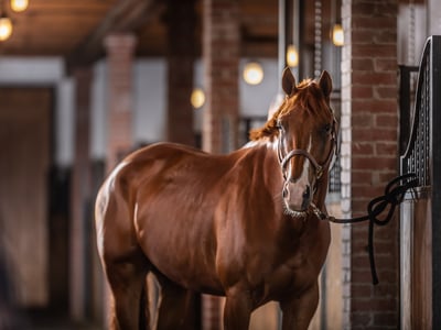 Products for stable maintenance