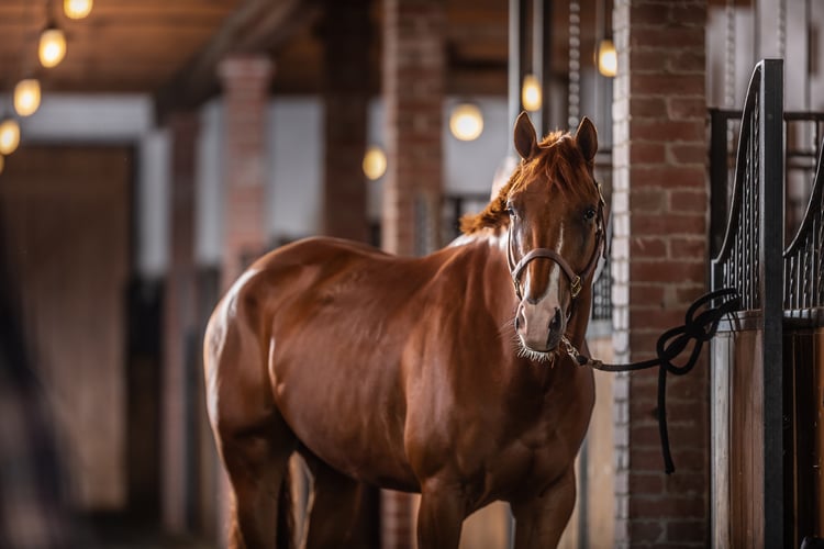 Products for stable maintenance