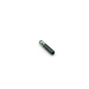 Transponder (TP08 CAPSULA CRYPTADA)
