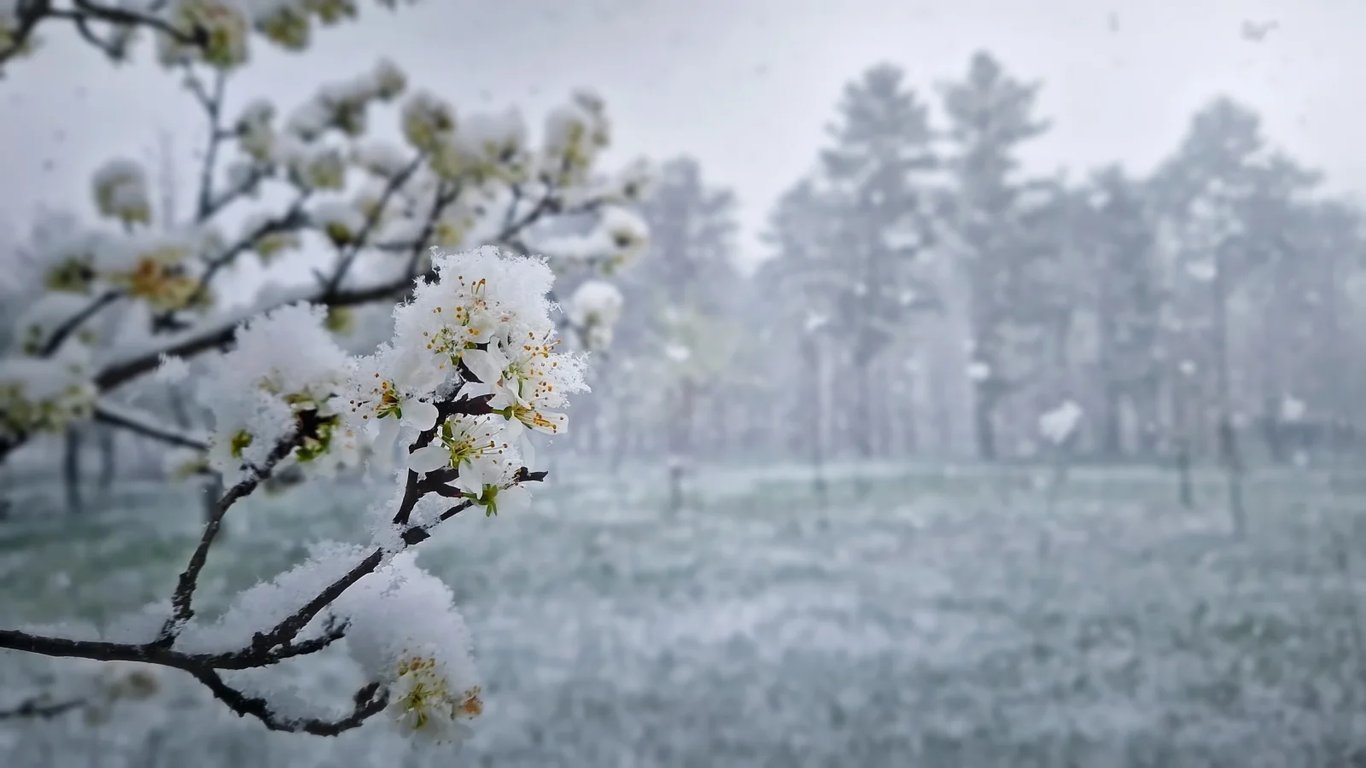 Tohle nikdo nečekal: meteorologové přiznali omyl, začátek zimy bude brutálnější, než plánovali.