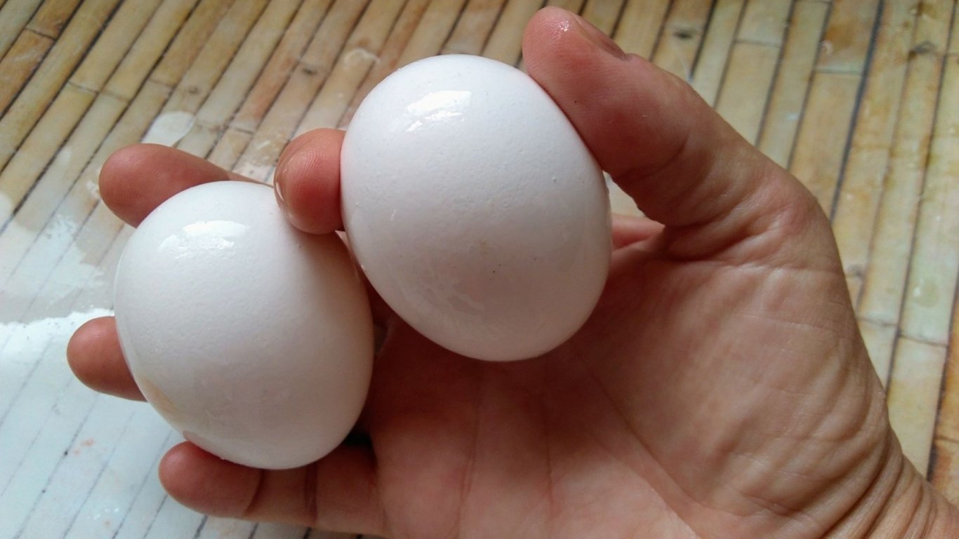 Čtrnáctiletý chlapec tvrdil, že snáší vejce jako slepice. Když lékaři uviděli rentgen, zůstali v němém úžasu