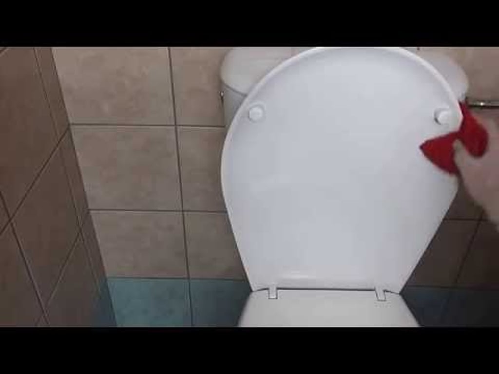 Video k článku