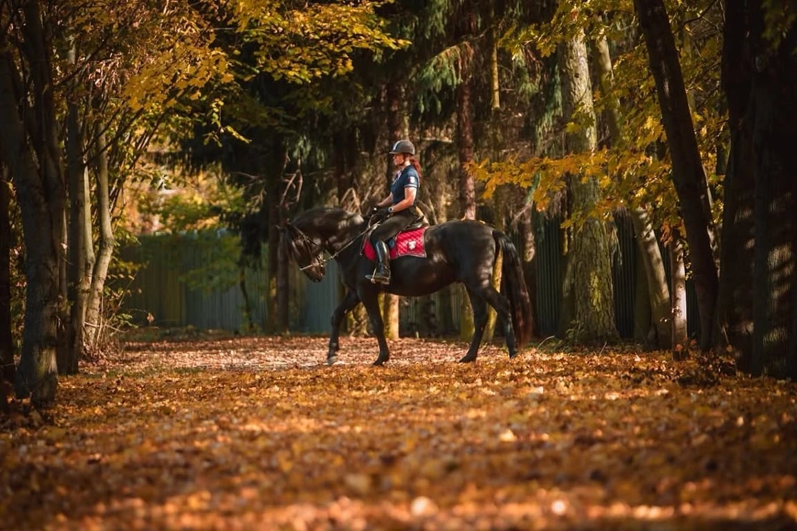 Na hřbitovy v Pardubicích dohlížejí strážníci na koních