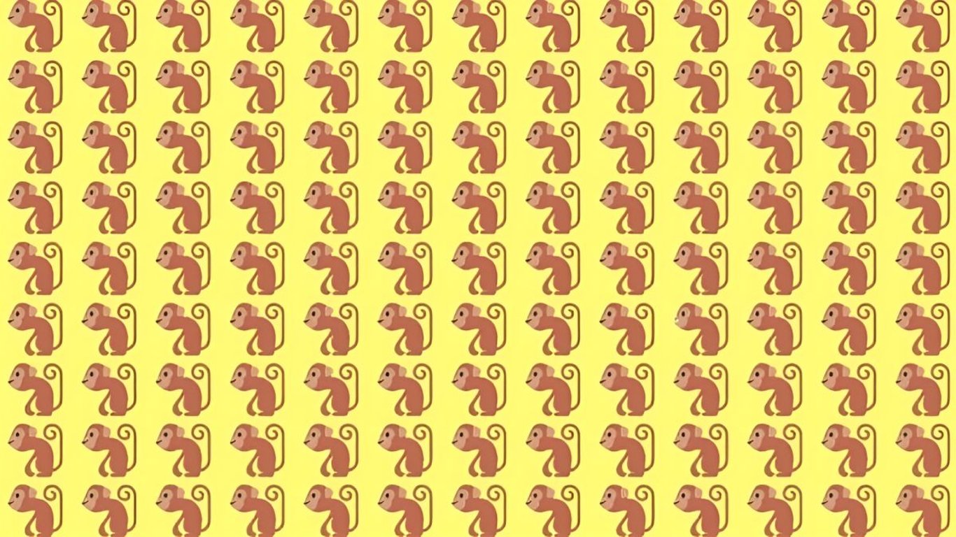 Hádanka s opičkami