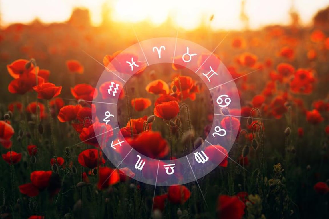 Týdenní horoskop: Panny prolomí ledy, Lvi objeví ráj a Raci stojí před velkou volbou