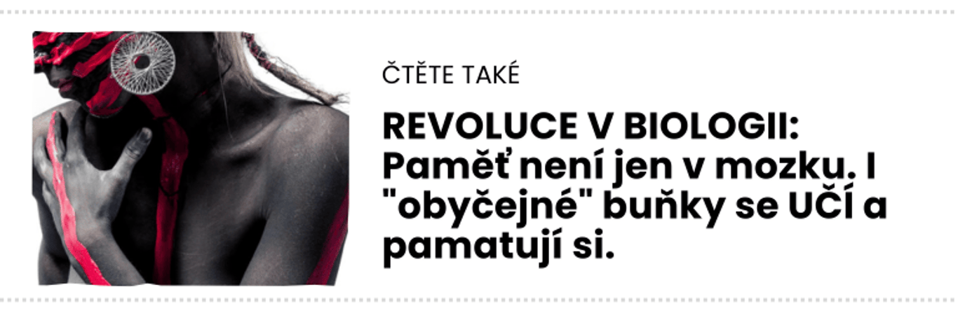 čTĚTE TAKÉ (12)