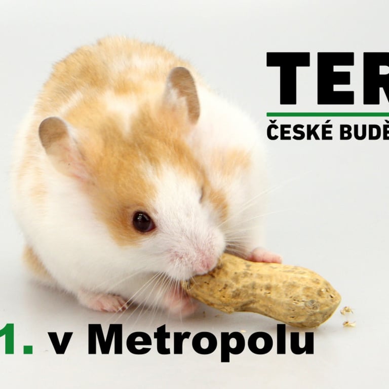 TERA České Budějovice