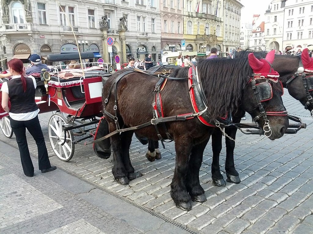 Turistické fiakry zmizí ze Staroměstského náměstí