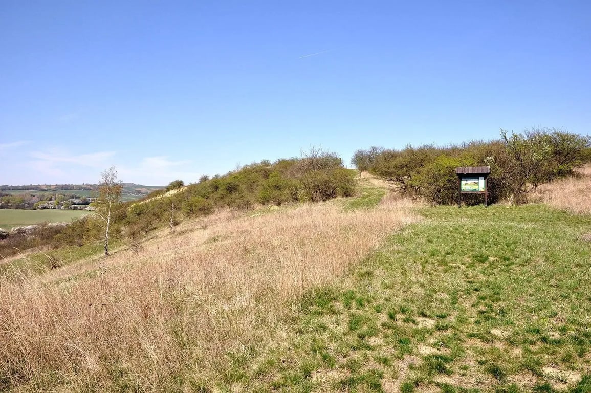 Přírodní památka Kienberg 