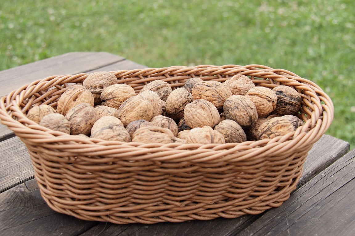 Sezóna ořechů je tady: při sušení dodržujte tato pravidla