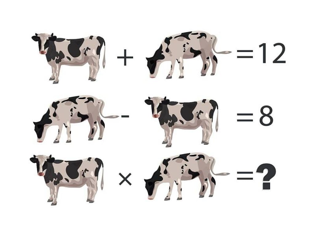 Vyřešte matematický IQ test: Najděte správný počet krav