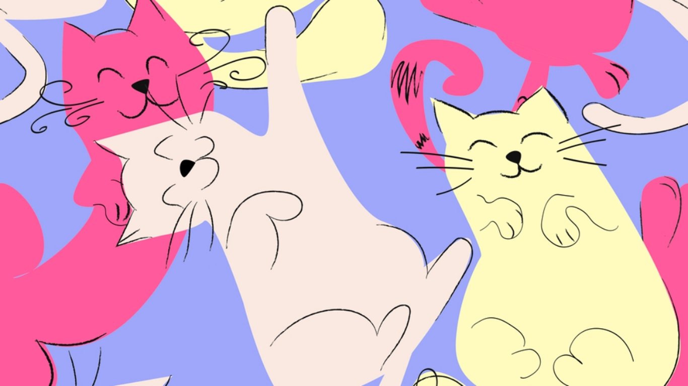 Otestuj svůj postřeh a zjisti, jestli ti nějaký pták mezi kočkami neuteče. Dokážeš je všechny najít?