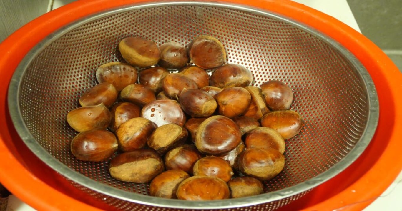 Chytré hospodyňky kaštany nikdy nevyhazují. Široká škála jejich využití vás překvapí
