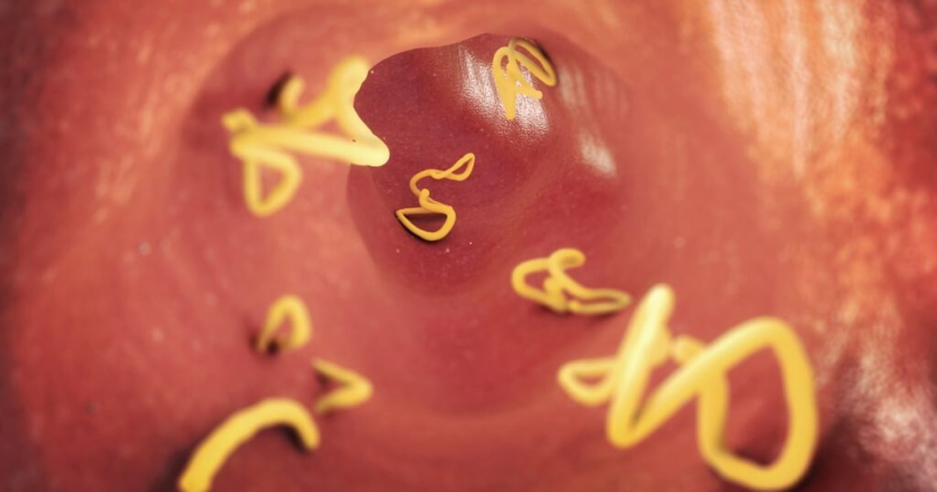 Pokud vás trápí tyto příznaky, vaše tělo je doslova plné parazitů. Hrozí vám zdravotní následky