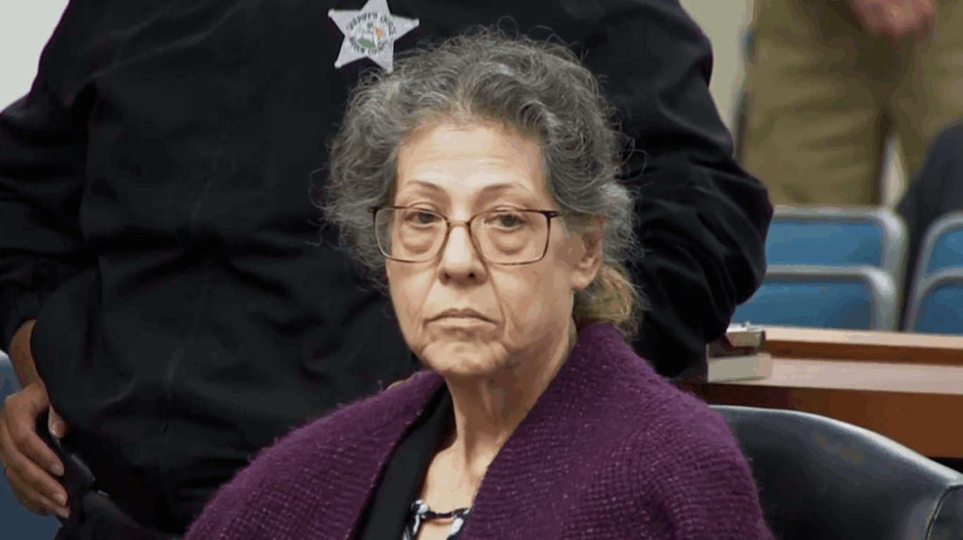 Dokonalá sousedka (The Perfect Neighbor)