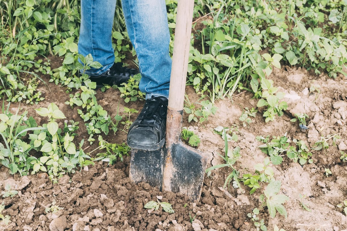 Kauza muže pohřbeného v pražském parku: U soudu padly tresty