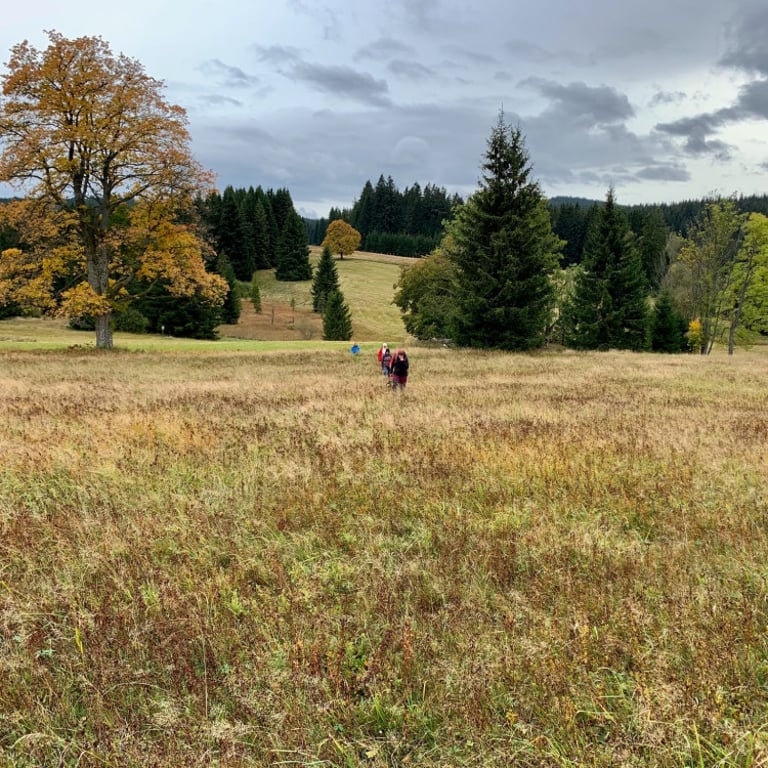 Podzimní výlet divočinou Novohradských hor