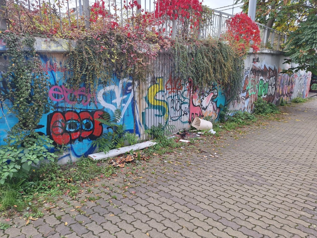 Řešíme to, jak můžeme, říká obvod k místům, kde se neustále hromadí odpadky