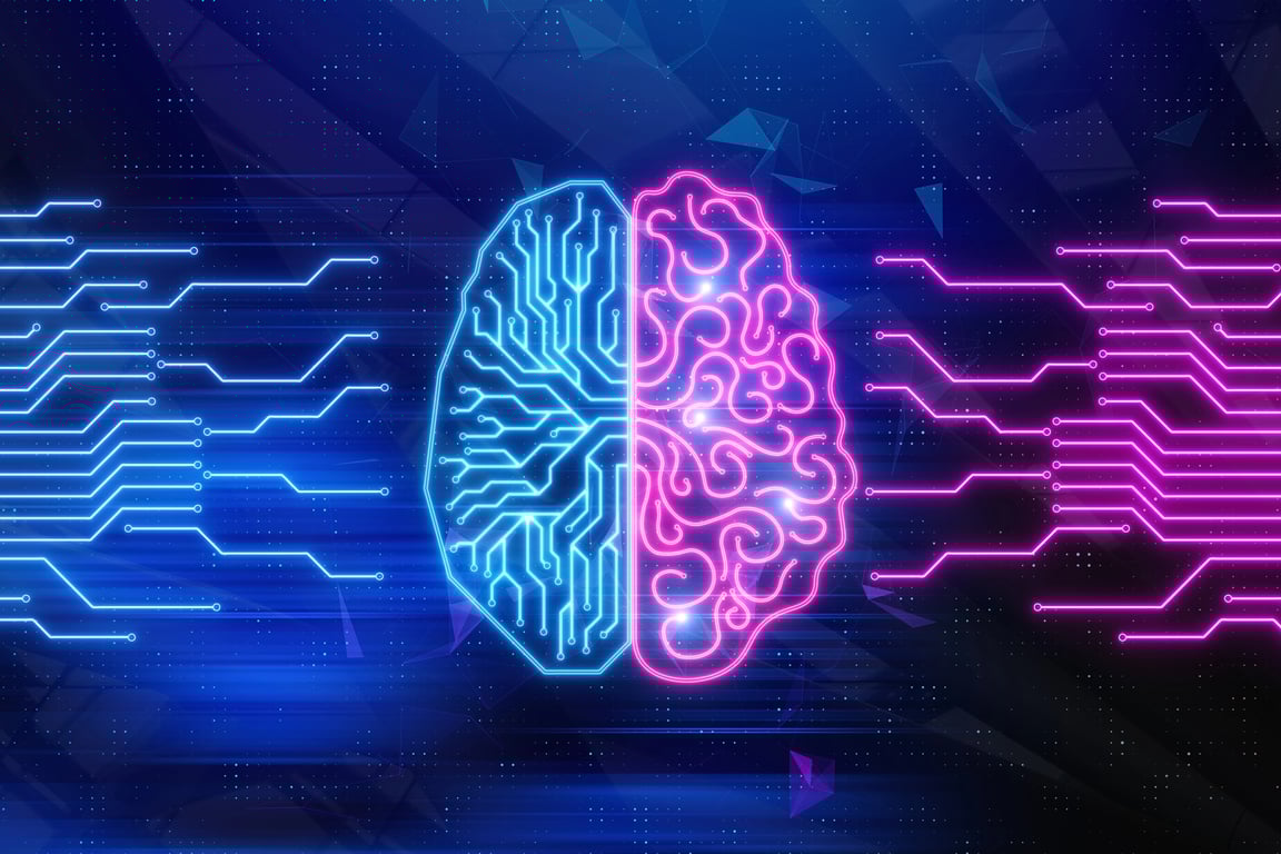 Umělá inteligence vytvořila dosud nejpřesnější mapu mozku