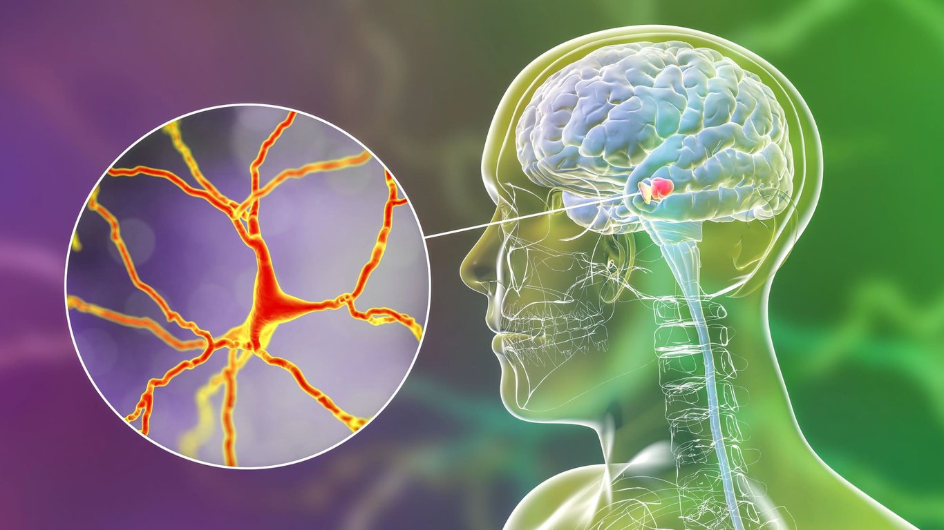 Vysoký tlak vám neničí jen srdce. Teď víme, co dělá s mozkem