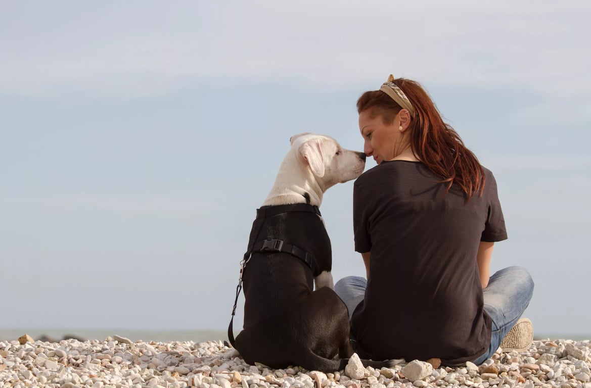 5854d904e0bd7-shutterstock-120449176-1-min.jpg.webp