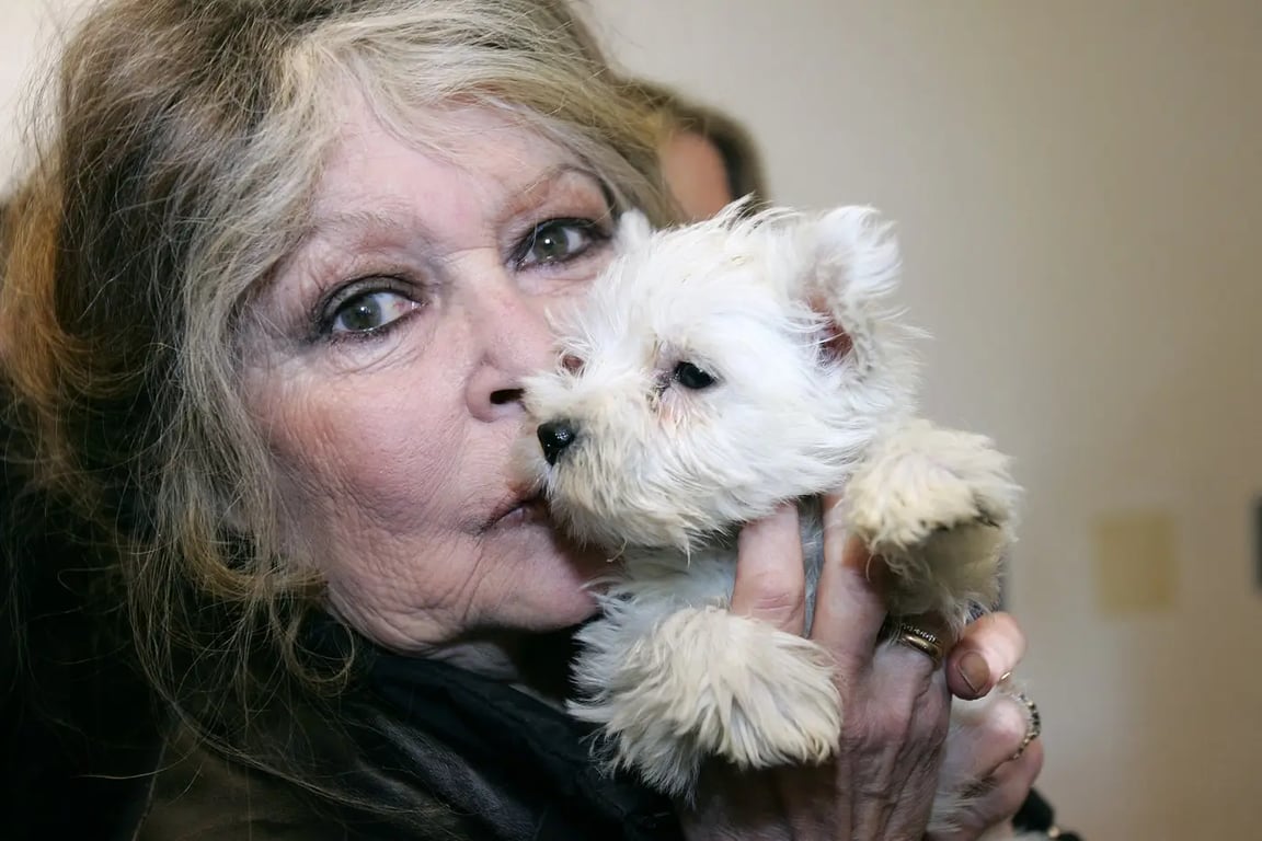 Brigitte Bardot žije osamocená se psi