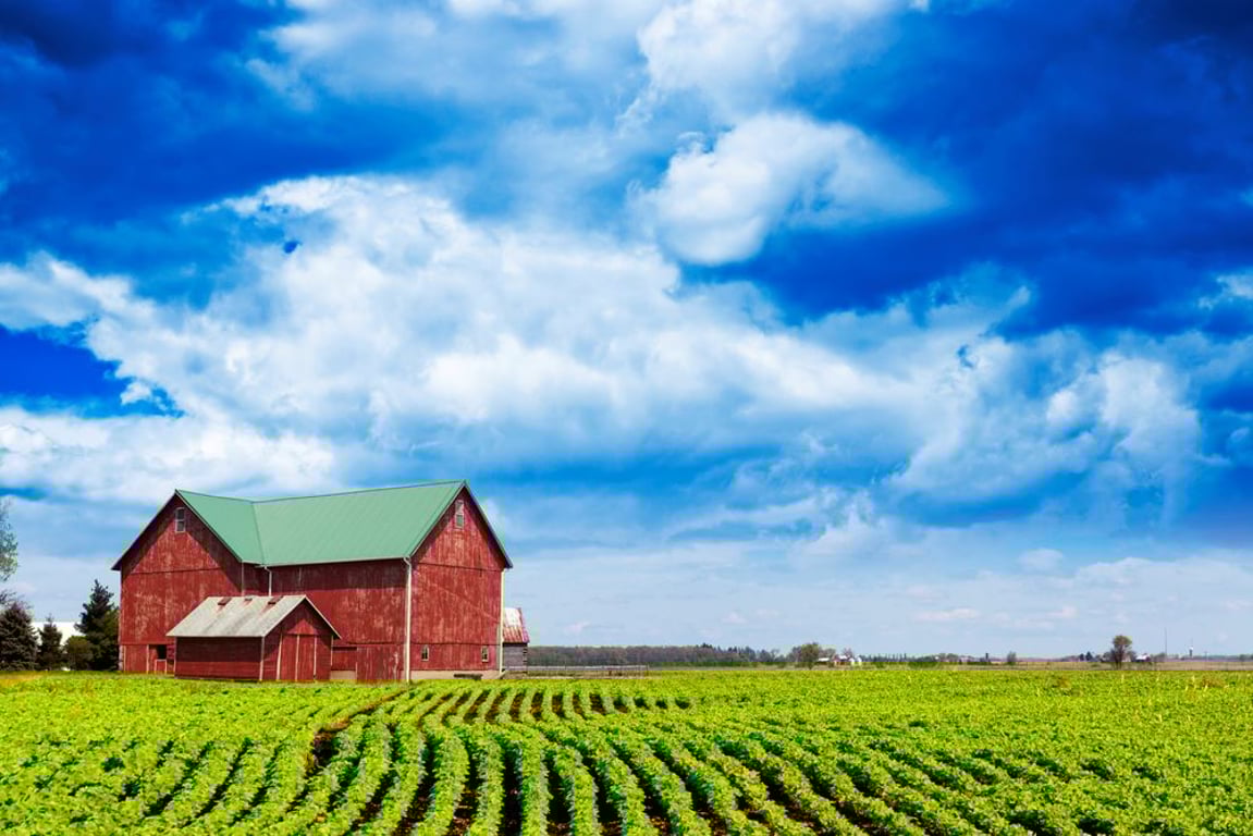 Manželé toužili žít na venkově. Po úmorném hledání nakonec objevili starý farmářský dům a proměnili ho v bydlení snů