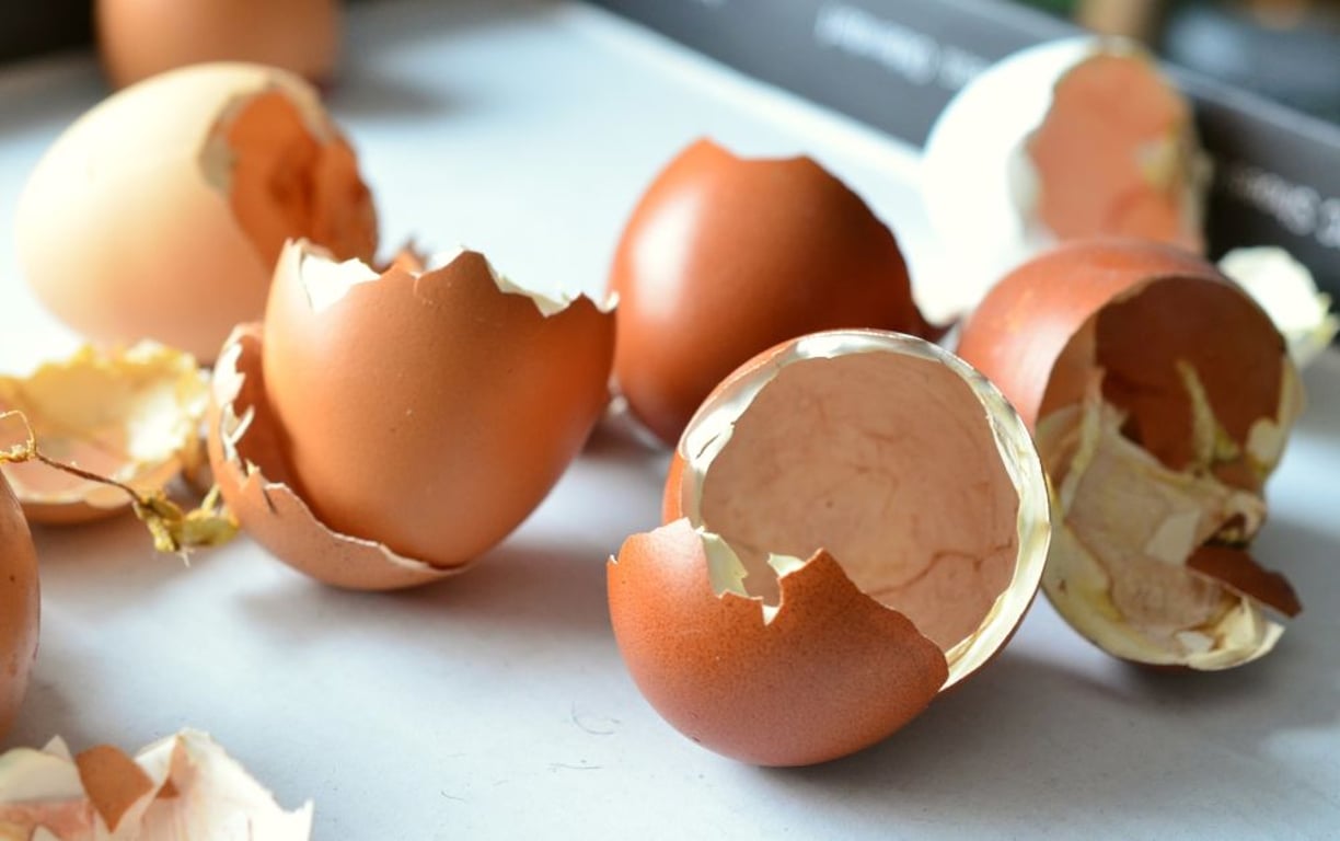 Perfektní hnojivo pro rostliny, díky němuž překonají zimní období