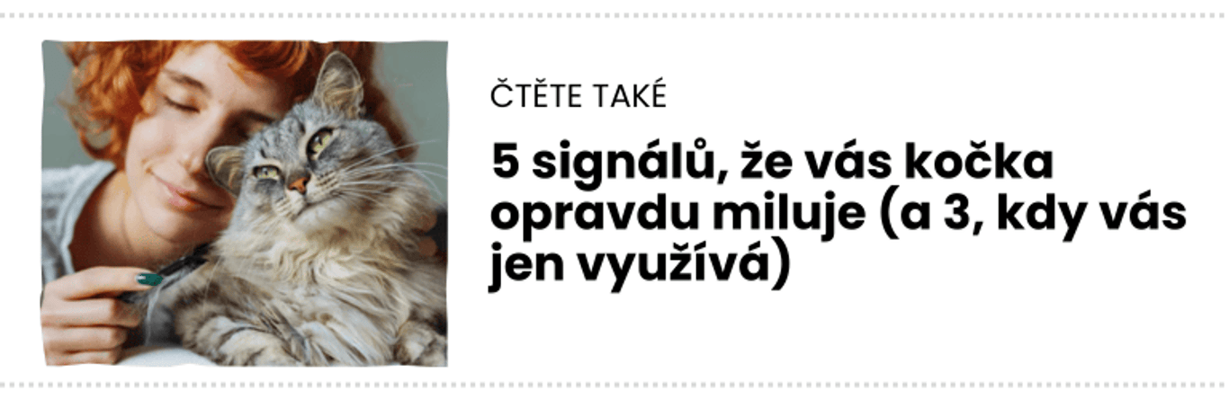 čTĚTE TAKÉ (3)