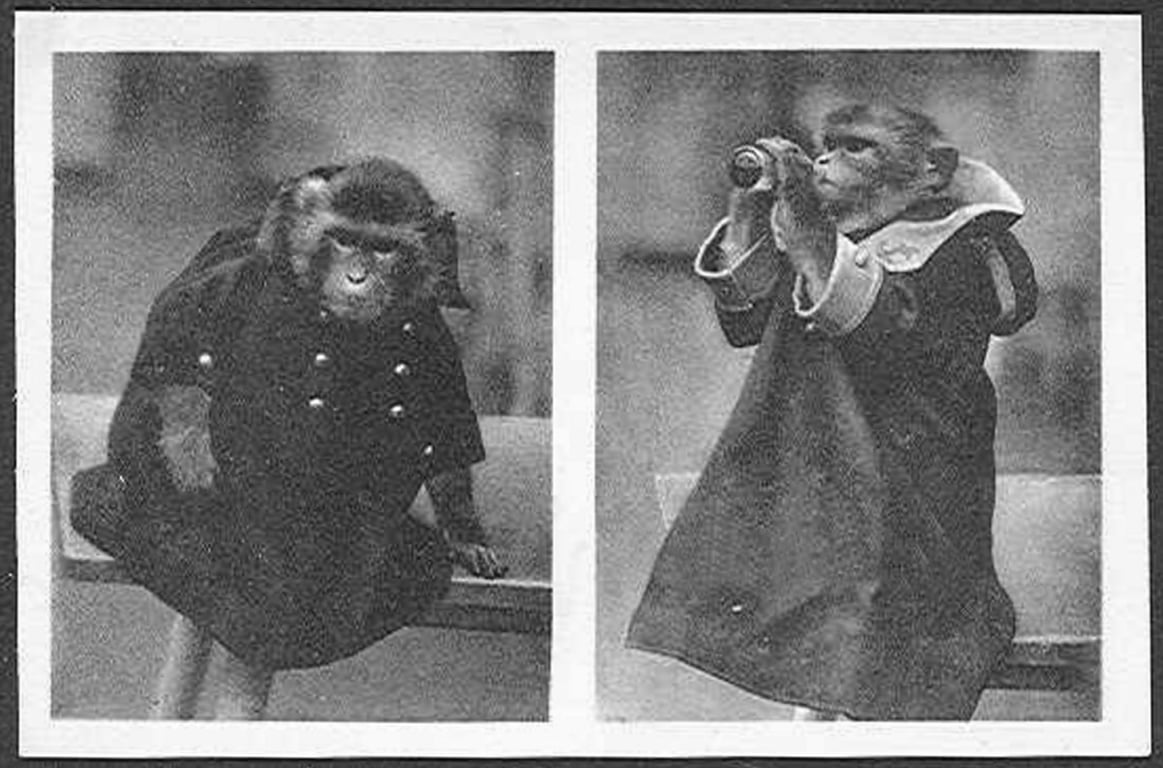 Nemáte doma historické fotografie z olomoucké zoo? Zahrada prosí o jejich zapůjčení