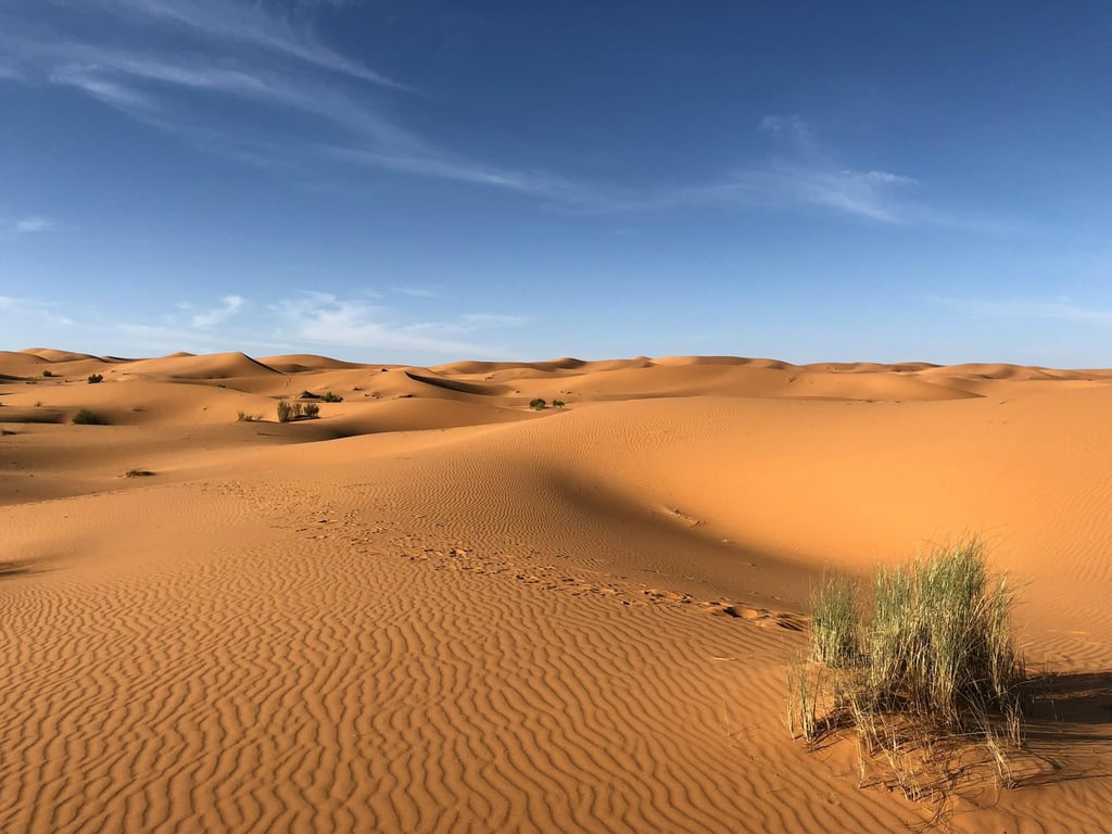 Sahara (2.): Důkazy ukryté pod pískem