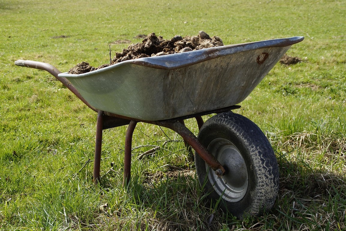 Tajemství bohaté úrody: pohnojte zahradu koňským hnojem