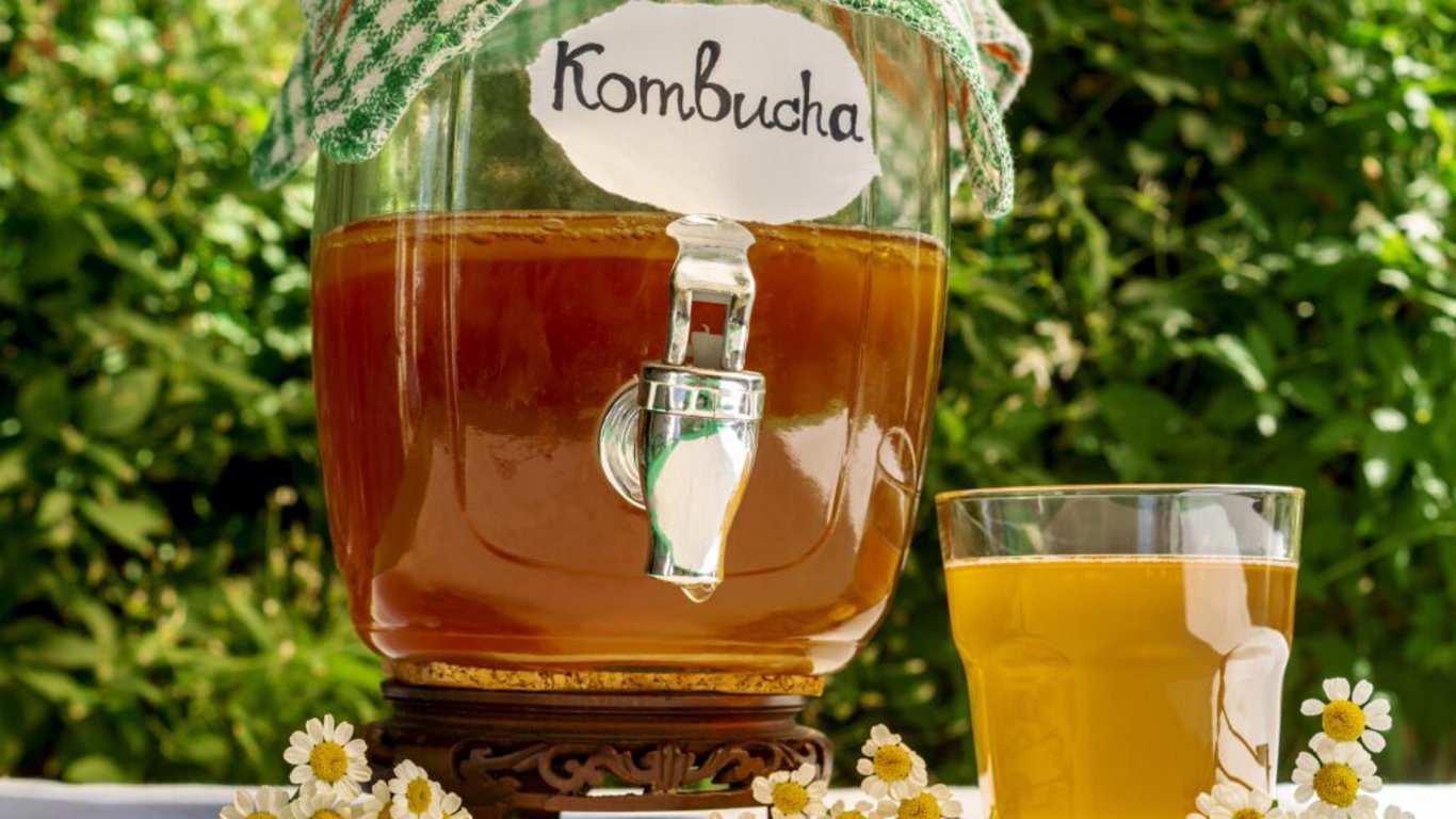 Co je kombucha?
