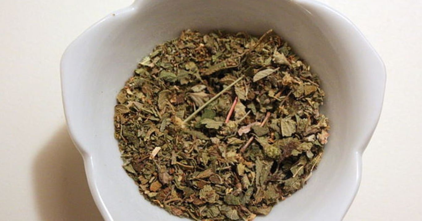 Z oregana se dá připravit čaj, který má překvapivě silné účinky. Pomůže při nachlazení i oslabené imunitě