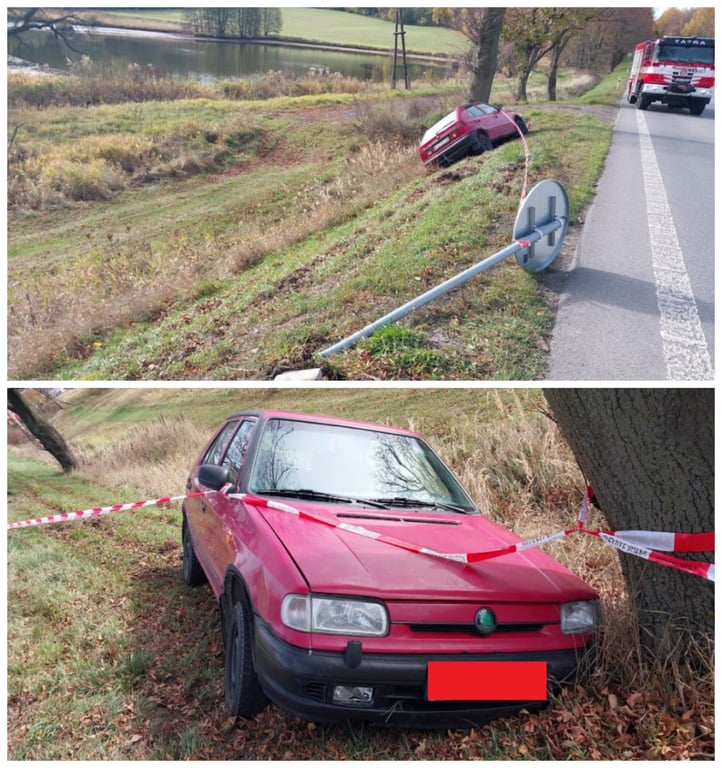 V Hosově boural dvaaosmdesátiletý řidič. Byl nepozorný, narazil do značky a stromu