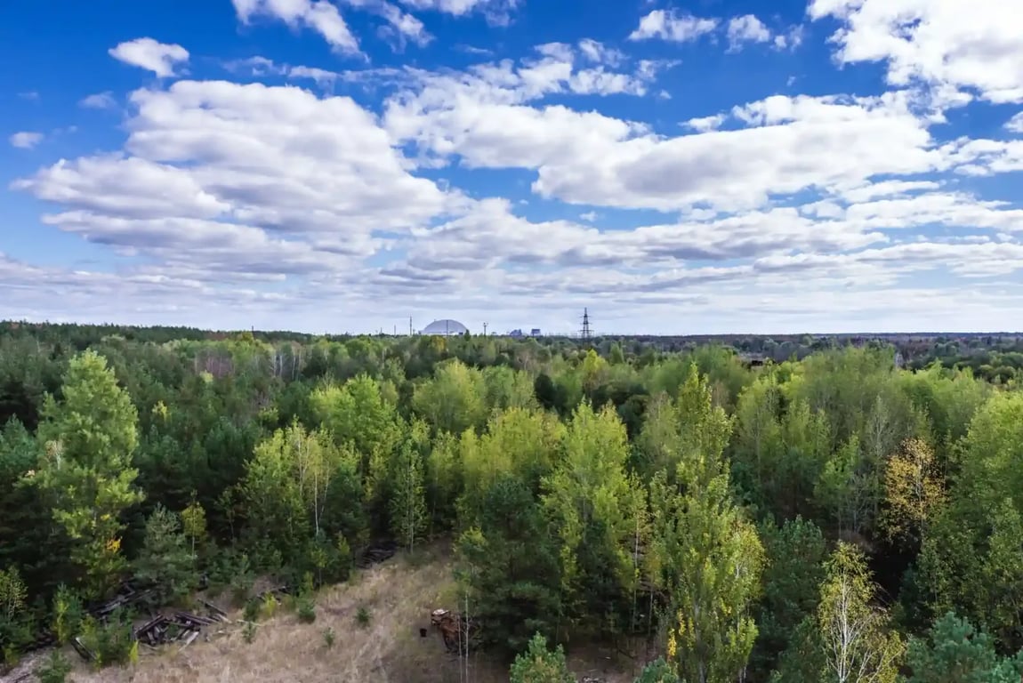 Pohled na Černobyl, který si příroda vzala zpět
