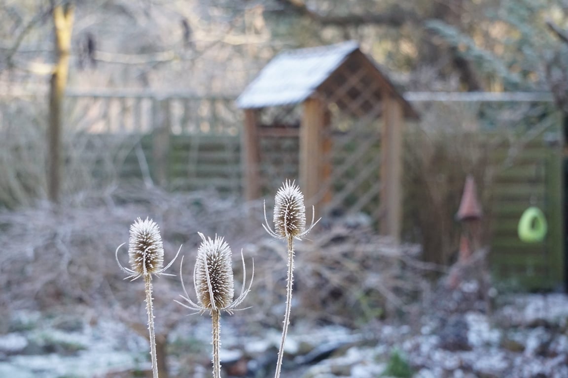 Češi vůbec neví, jak připravit zahradu na chladné počasí. Kompletně si ji tím ničí, i když stačí dodržet tyto zásady