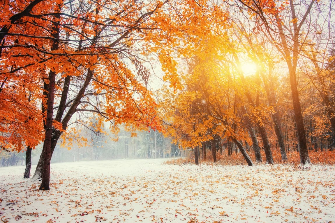 Meteorologové zůstali v šoku: Listopad má být úplně jiný, než čekali. Takový podzim Česko dlouho nezažilo