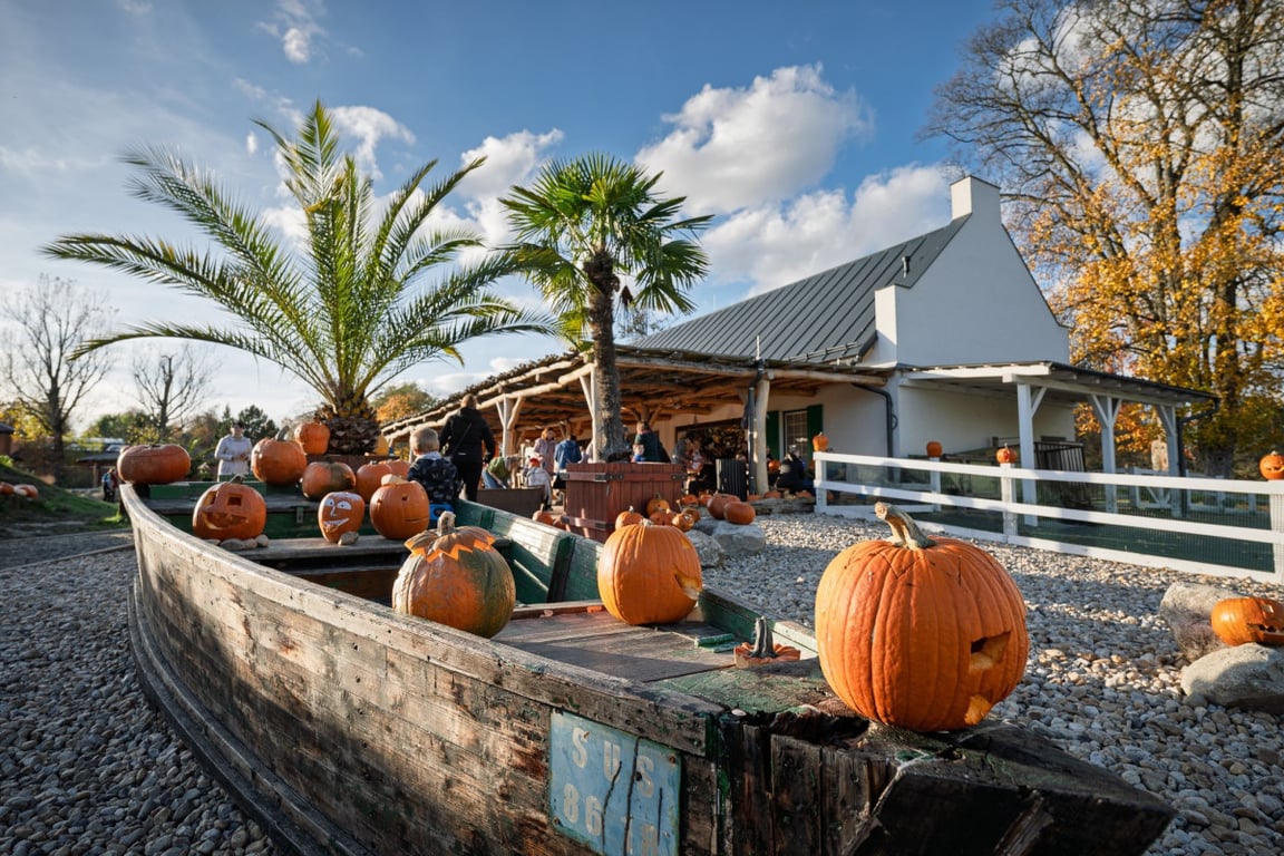 Strašidla přilákala do Safari Parku 25 tisíc lidí. Od ledna přišlo meziročně míň