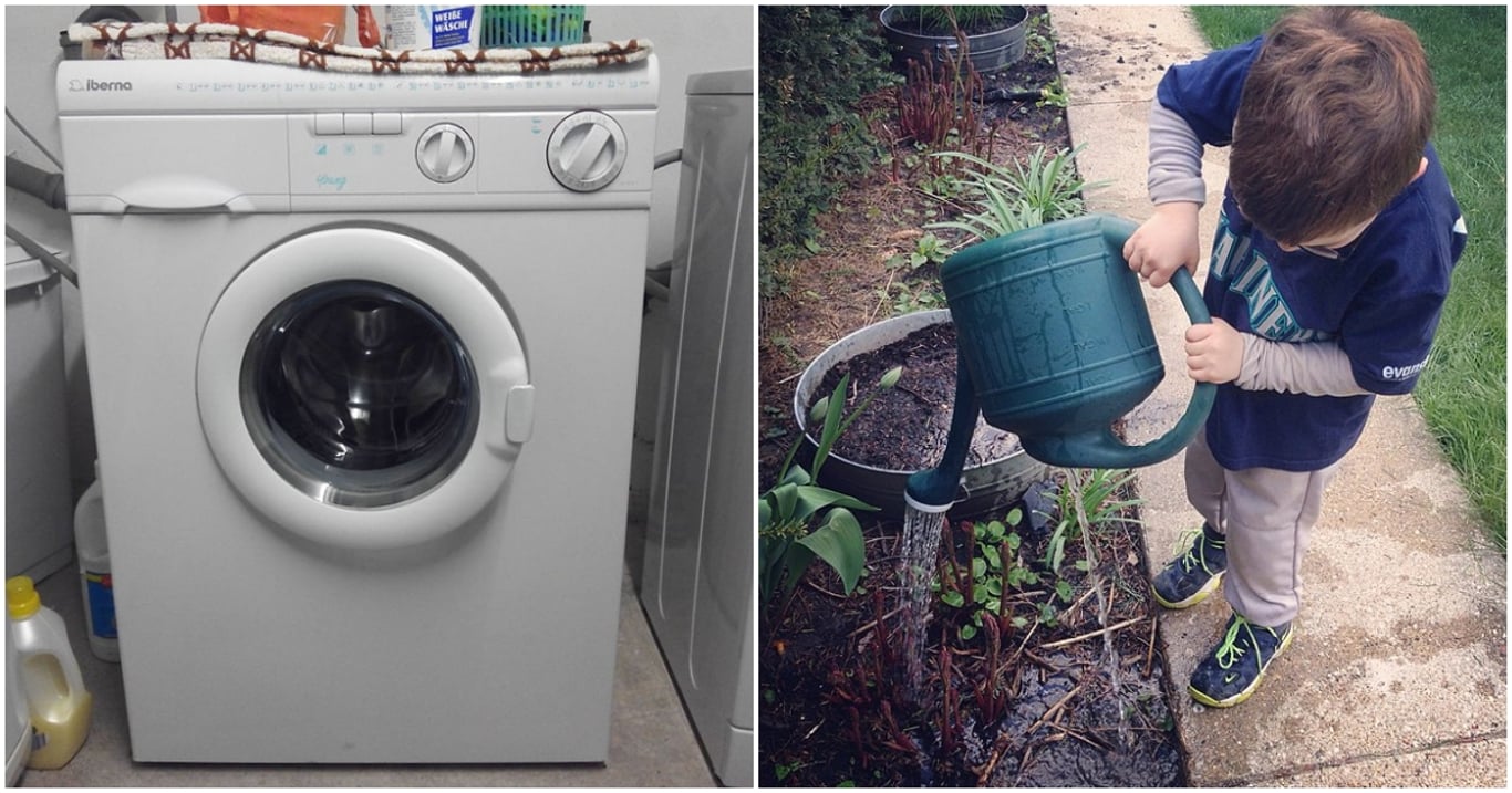 Zahradníci doporučili zalévat vodou z pračky a výsledek šokoval i odborníky. Rostliny začaly růst neuvěřitelnou rychlostí