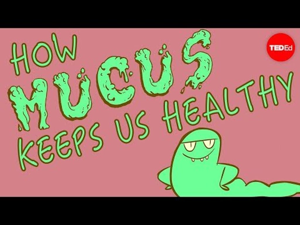 Video k článku ZDE