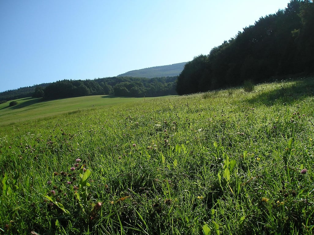 Bílé Karpaty, biosférická rezervace, orchideje, Žítkovské bohyně, Kuželov