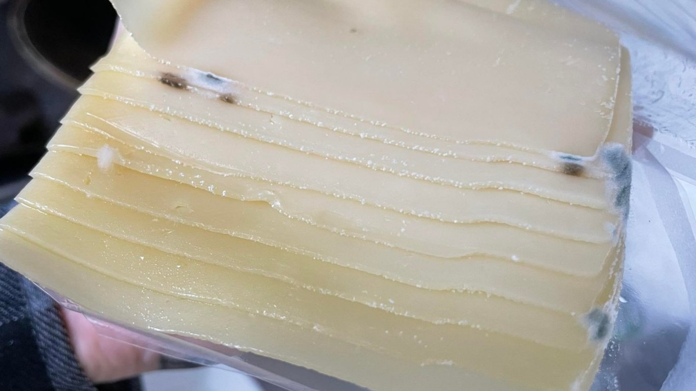 Co se stane, když sníte plesnivé jídlo, vám nikdo dobrovolně neřekne. Právě tady rozhoduje detail, který může být nebezpečný