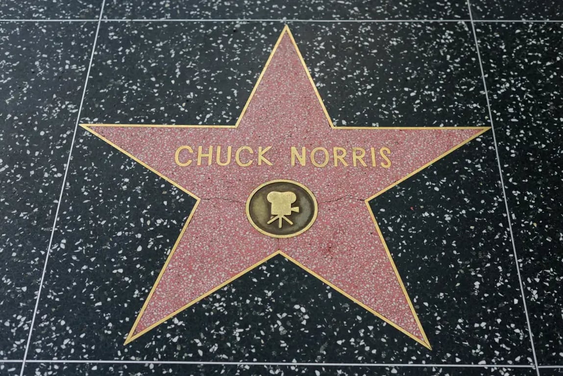 Svaly, sebevědomí a odvaha jsou pryč. Chuck Norris dnes vypadá jako svraštělý pohádkový dědeček. Podívejte